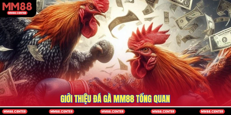 Giới thiệu Đá Gà MM88 tổng quan
